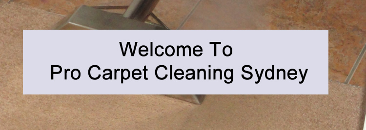 Welcome To Pro Carpet Cleaning Sydney